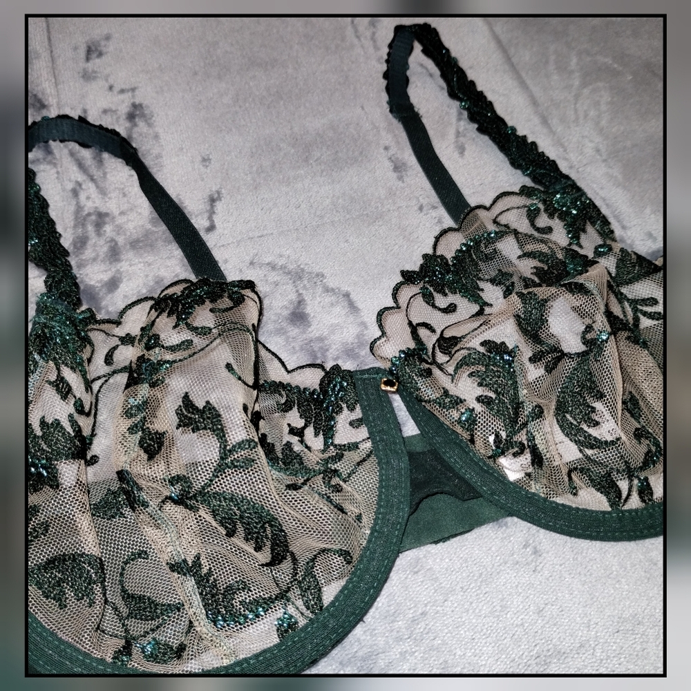 Wacoal Dramatic Interlude Underwire Lace Bra 34d … - image 2